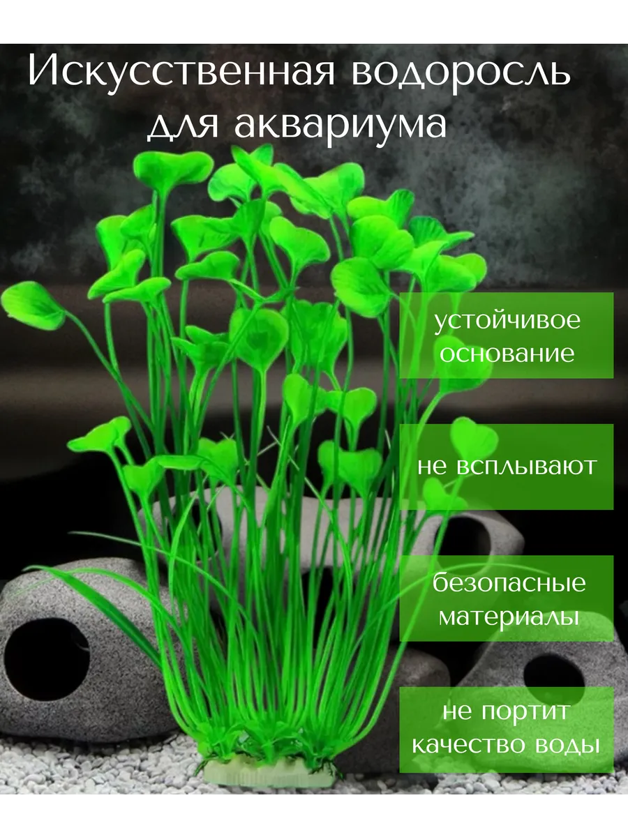 Растения Купить Рязань