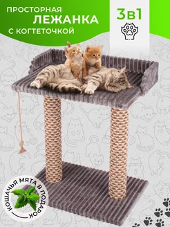 Когтеточка для кошки Rokki 170115999 купить за 2 089 ₽ в интернет-магазине Wildberries