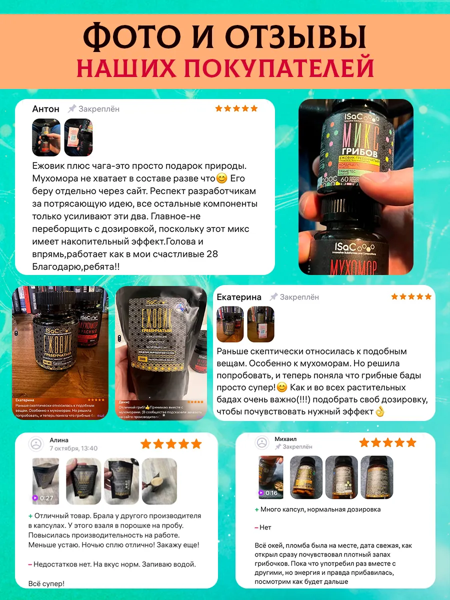 Ежовик Гребечатый Мицелий молотый 100 гр ISaC Nutrition 170171099 купить за  396 ₽ в интернет-магазине Wildberries