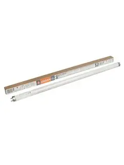 Лампа люминесцентная Osram 170173604 купить за 174 ₽ в интернет-магазине Wildberries