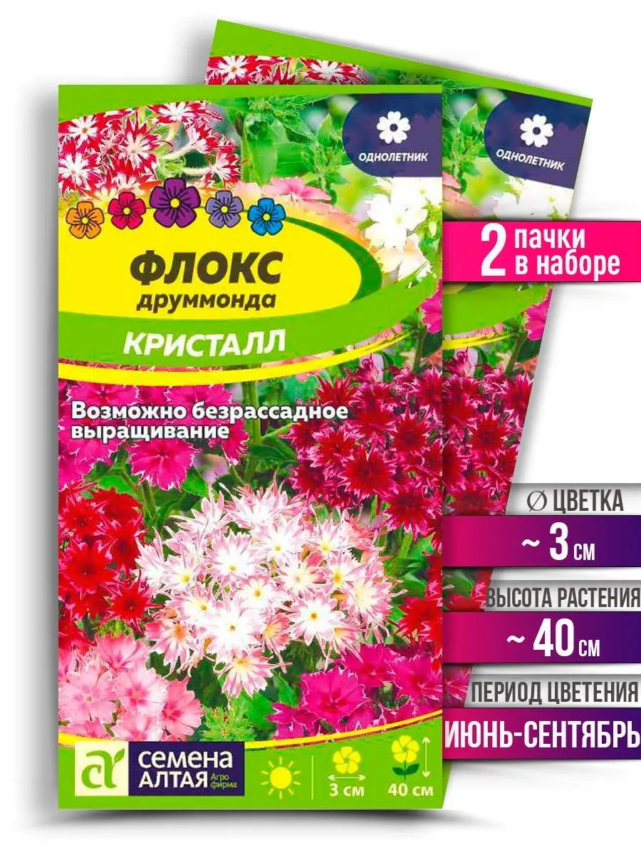 Флоксы Однолетние Купить Семена