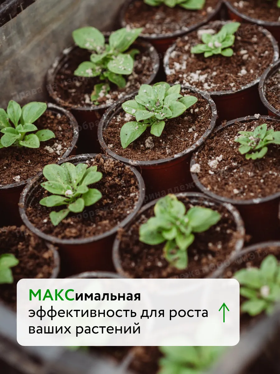 Удобрение для растений, биостимулятор Текамин Макс Плюс 1 л — фото 7