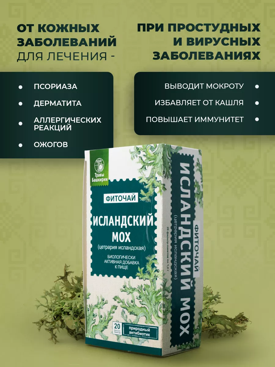 Исландский мох фиточай от кашля ТРАВЫ БАШКИРИИ 170191694 купить за 227 ₽ в  интернет-магазине Wildberries