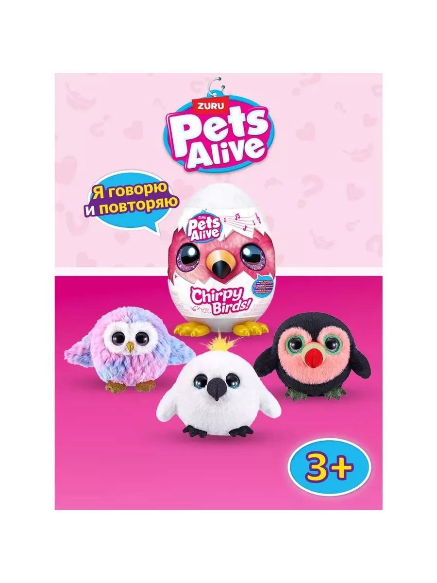 Chirpy pets best sale