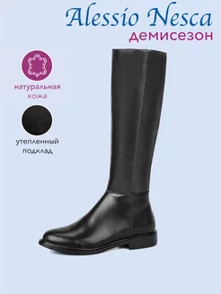 Сапоги демисезонные высокие Alessio Nesca 170244393 купить за 3 421 ₽ в интернет‑магазине Wildberries