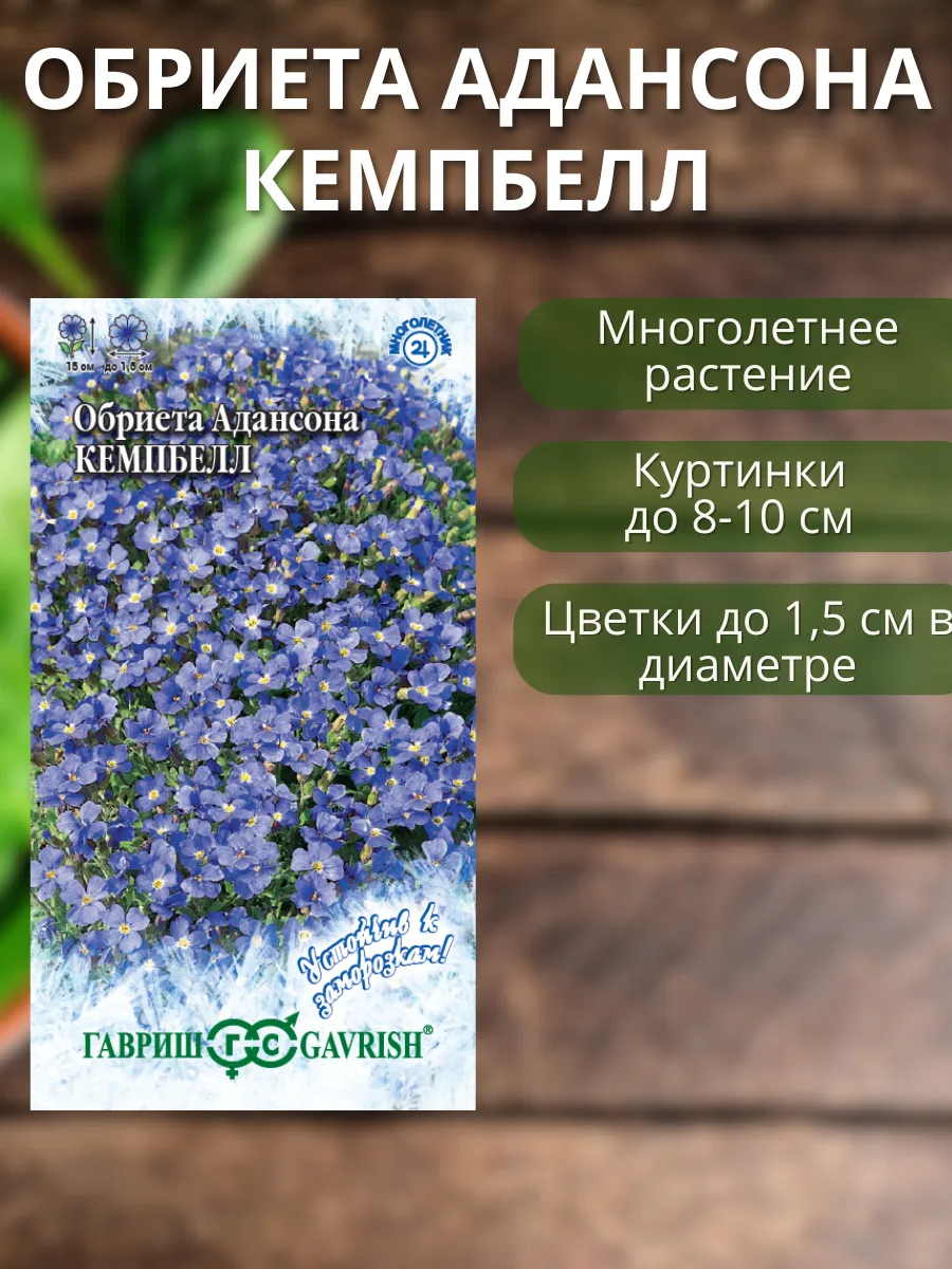 Семена цветов обриеты Гавриш 170320210 купить за 175 ₽ в интернет-магазине  Wildberries