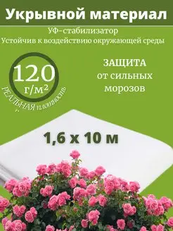 Укрывной материал для роз туй белый спанбонд от морозов 120 СпанбондАГРО 170326754 купить за 1 032 ₽ в интернет-магазине Wildberries