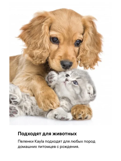 Kayla Пеленки одноразовые для новорожденных 30х45 30 шт, 30 шт, фото 5