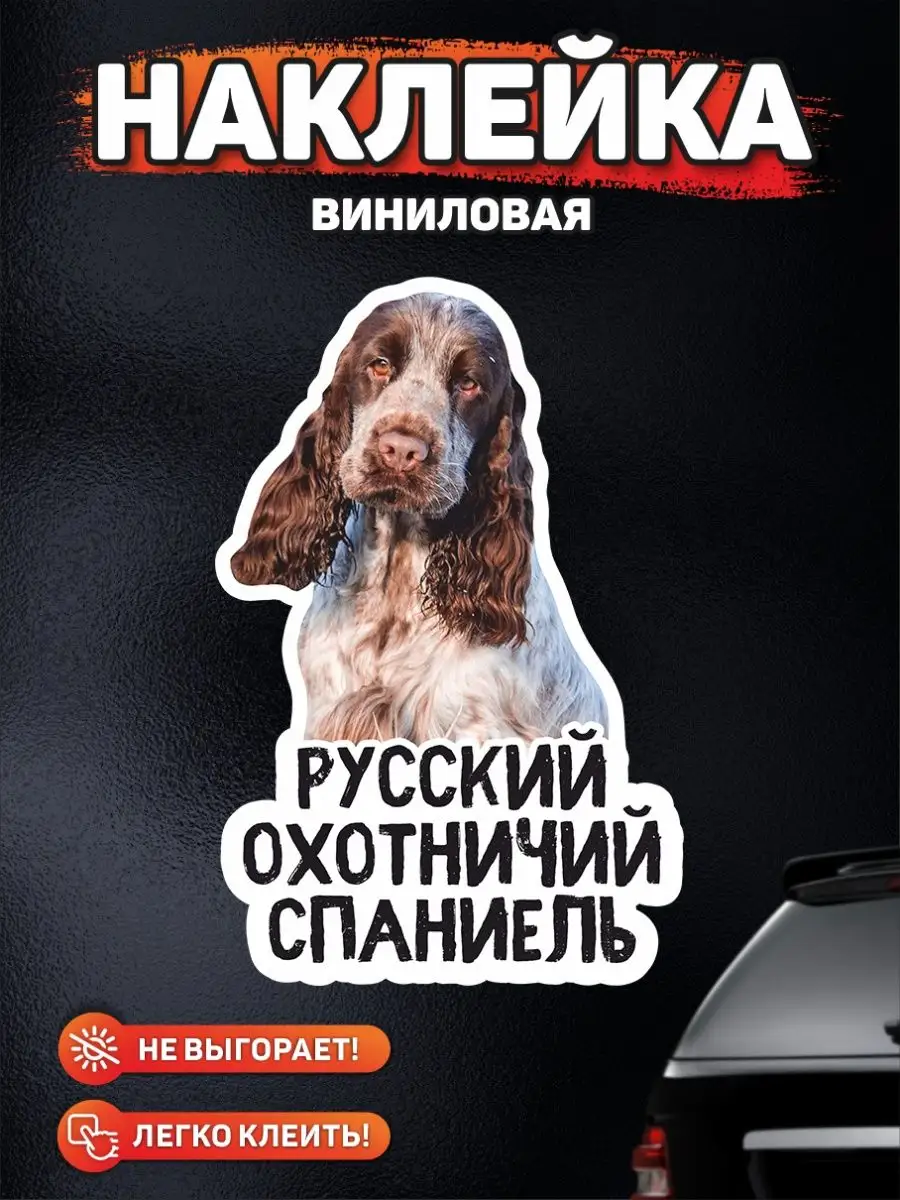 Наклейка на авто, Русский охотничий спаниель в машине DANGER DOG осторожно  злая собака 170385710 купить за 303 ₽ в интернет-магазине Wildberries