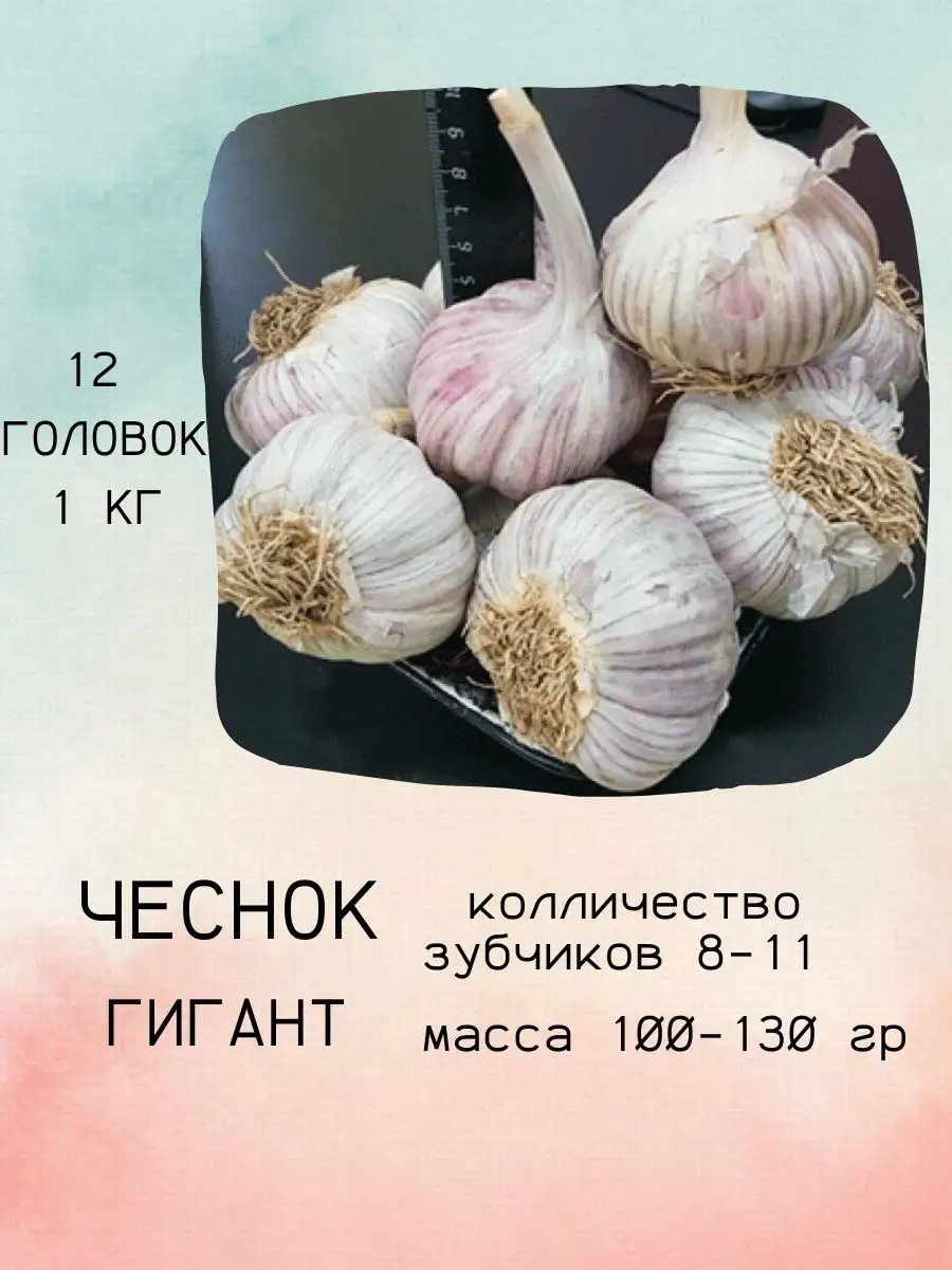 Как сделать разметчик рядков на грядках своими руками | Посадка чеснока, Садовые деревья, Огород