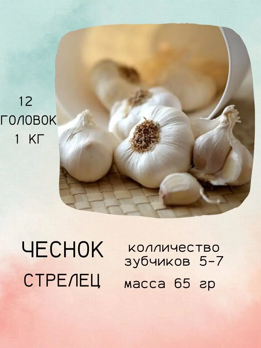 Товары по запросу «Чеснок» в городе Neftekamsk