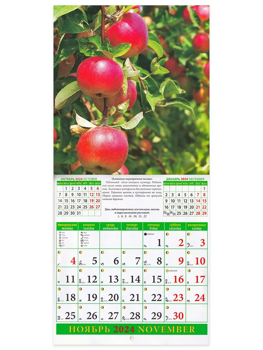 День за днем Лунный календарь садовода и огородника, 2024 год 220х240 мм