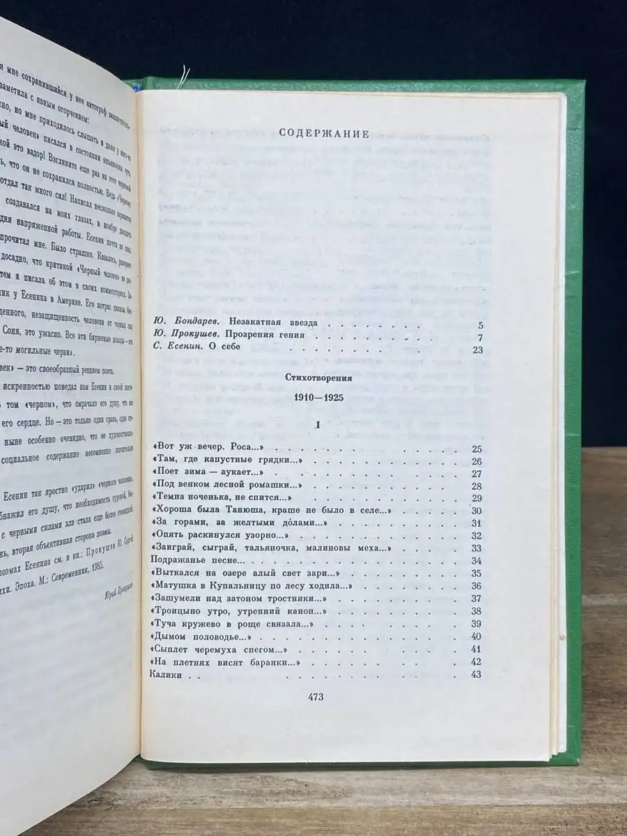 С. Есенин. Собрание сочинений в 2 томах. Том 1 Советская Россия 170400030  купить в интернет-магазине Wildberries