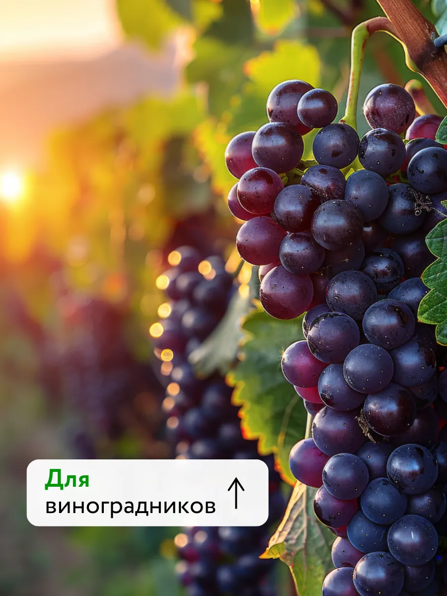 Удобрения для растений огорода и сада Текнокель Амино CAB — фото 10