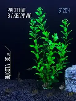 Растение для аквариума искусственное S1204 ZooAqua 170431415 купить за 199 ₽ в интернет-магазине Wildberries