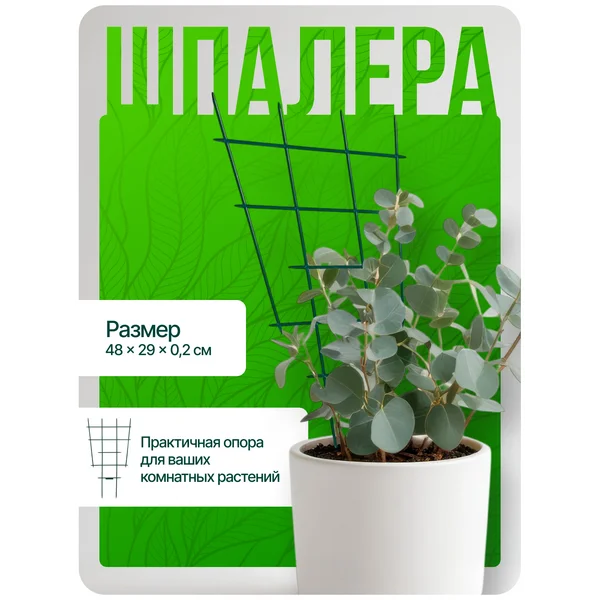 Шпалера для комнатных растений