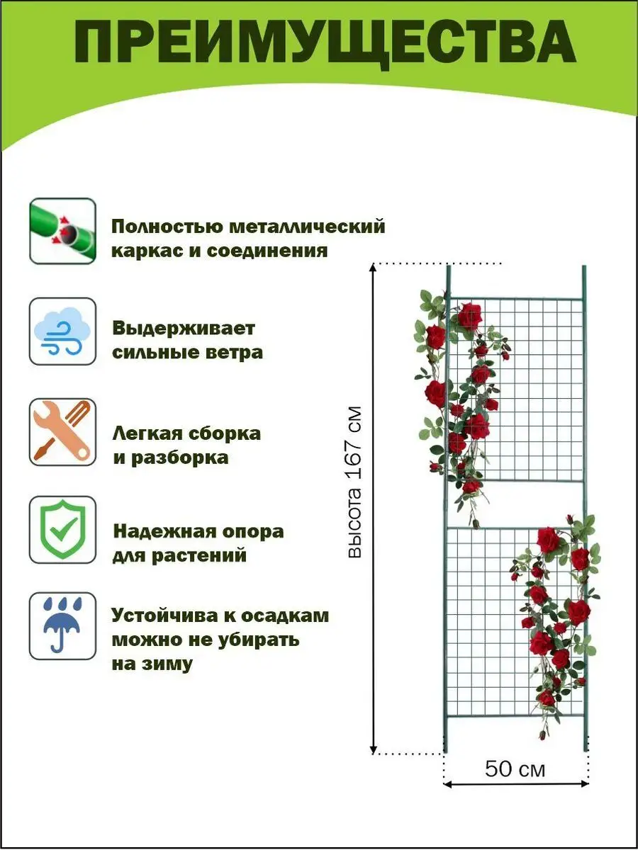 Клематисы: посадка и уход. Описание клематисов.