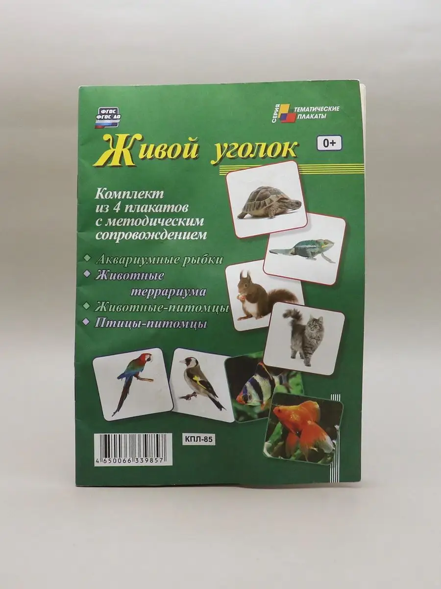 Плакаты тематические