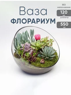 Флорариум стеклянный маленький 550 мл Glass Concept 170513478 купить за 935 ₽ в интернет-магазине Wildberries