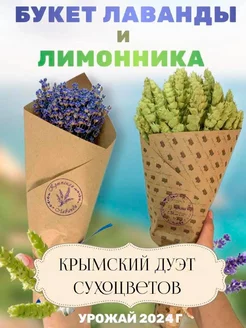 Интернет-магазин Wildberries: широкий ассортимент товаров - скидки каждый день!