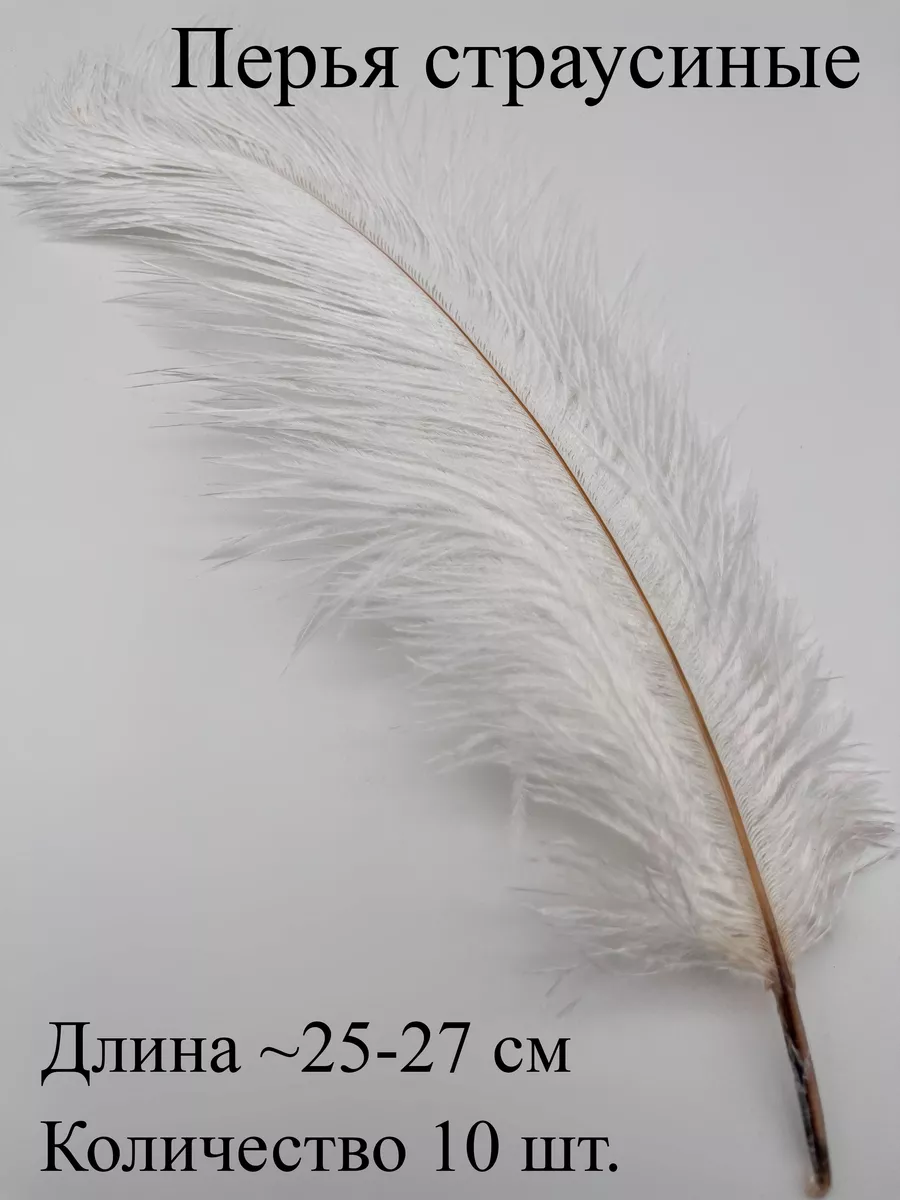 Перья страусиновые 25-27 см, 10 шт