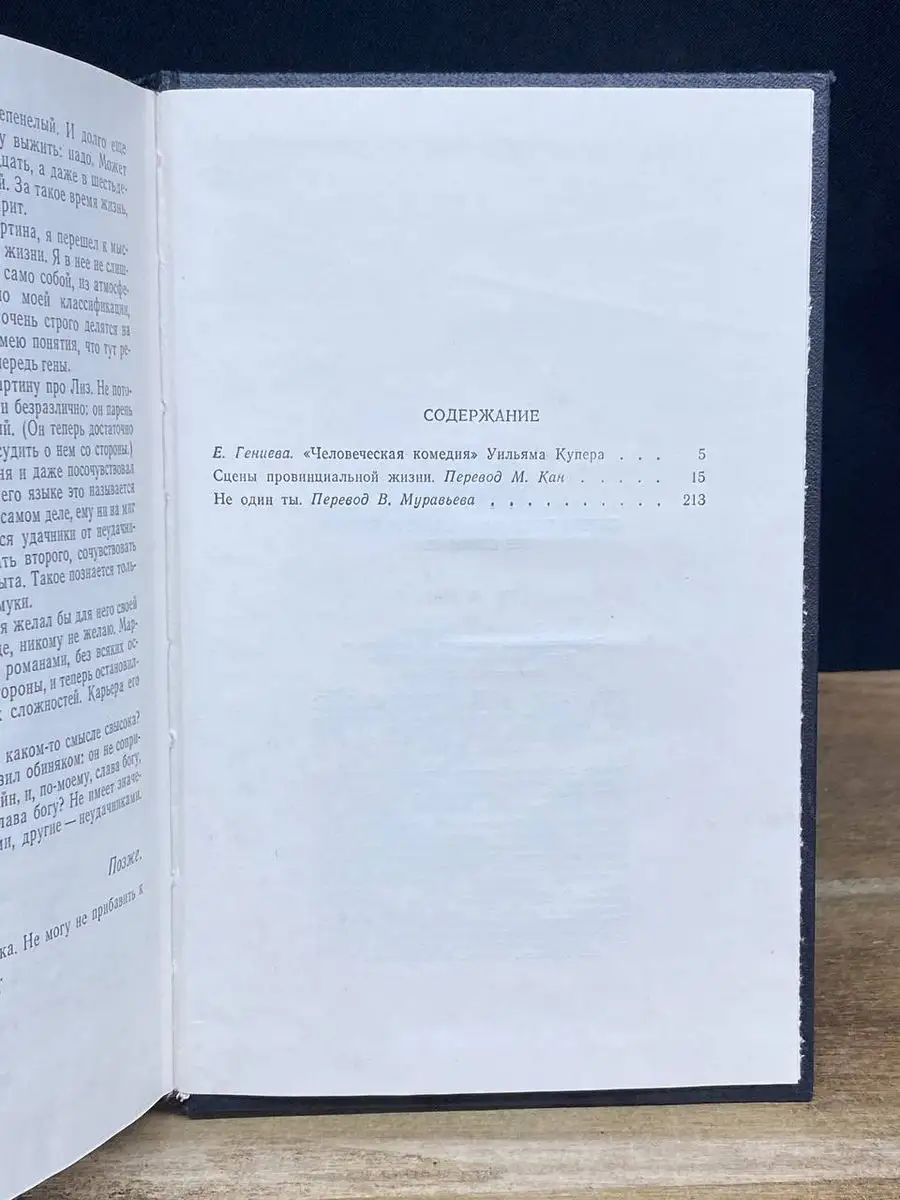 Сцены провинциальной жизни. Не один ты ПРОГРЕСС 170597656 купить за 176 ₽ в  интернет-магазине Wildberries