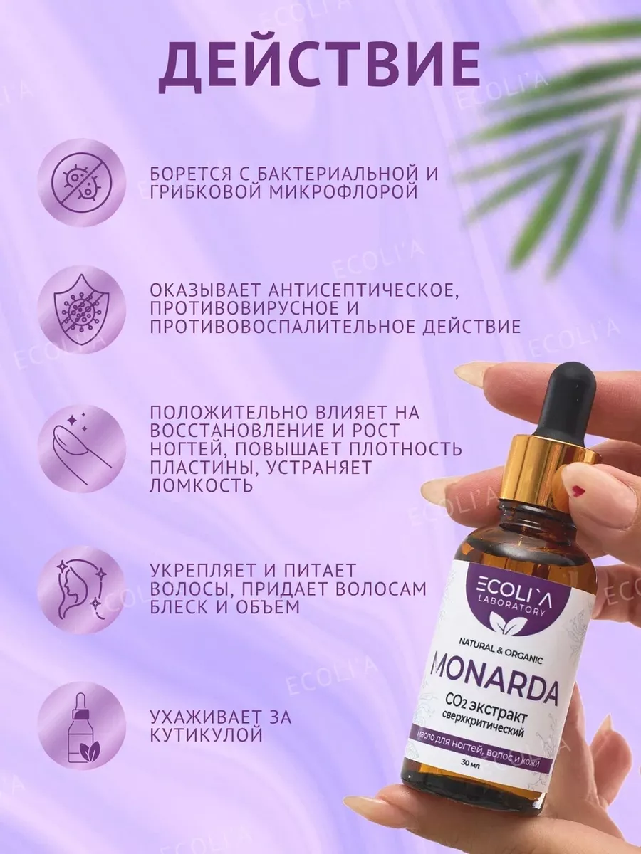 Масло монарды Экстракт CO2 10% ECOLI`A LABORATORY 170606115 купить в  интернет-магазине Wildberries