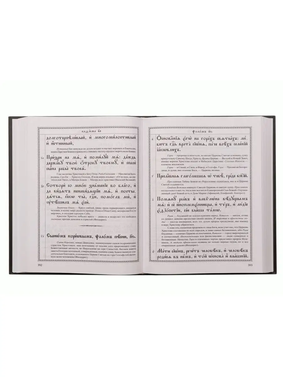 Псалтирь с толкованиями. На церковнославянском языке. Сибирская  Благозвонница 170648951 купить за 2 042 ₽ в интернет-магазине Wildberries