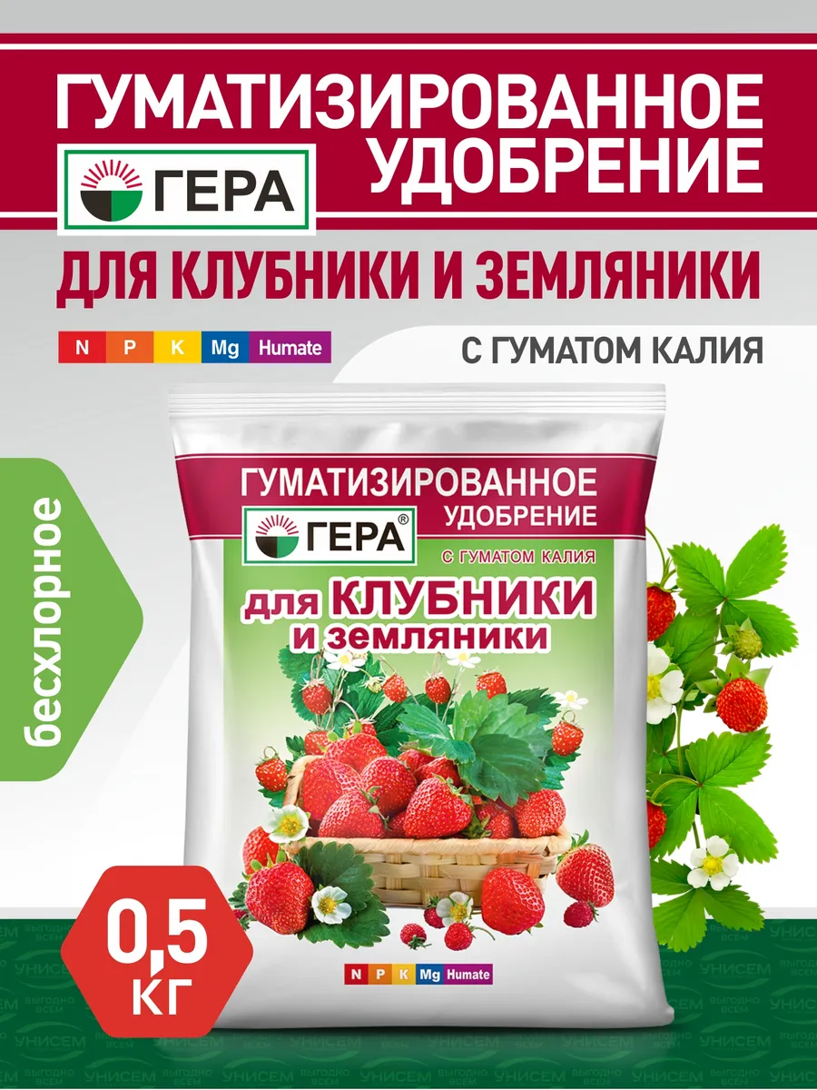 Флор гумат удобрение для клубники. Как ухаживать за клубникой в августе. Осенние подкормки клубники в августе. Обработка клубники в августе. Удобрение клубники в конце августа.