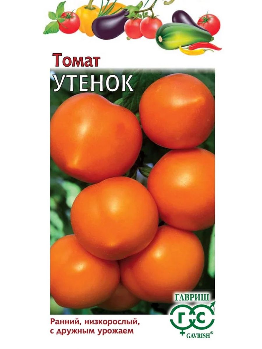 Томат утенок фото. Томат утенок СЕДЕК. Семена томат утенок. Томат утенок 0,1г ц/п СЕДЕК. Томат утенок сады России.