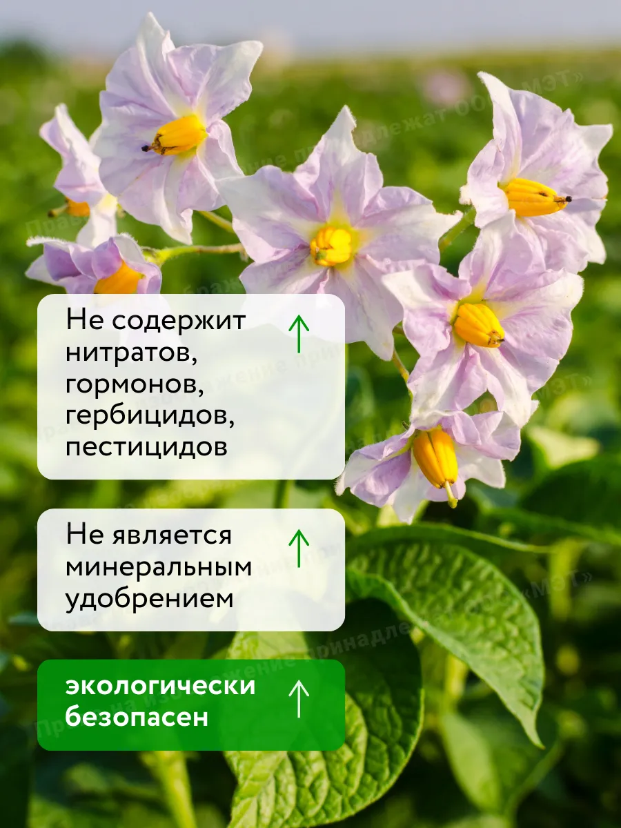 Универсальное удобрение для цветов и винограда Флауэр 750мл — фото 2