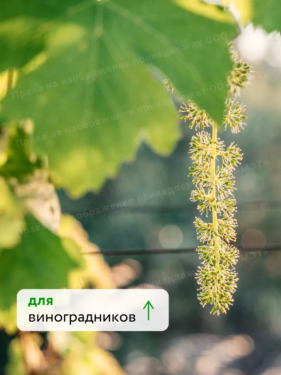 Универсальное удобрение для цветов и винограда Флауэр 750мл — фото 8