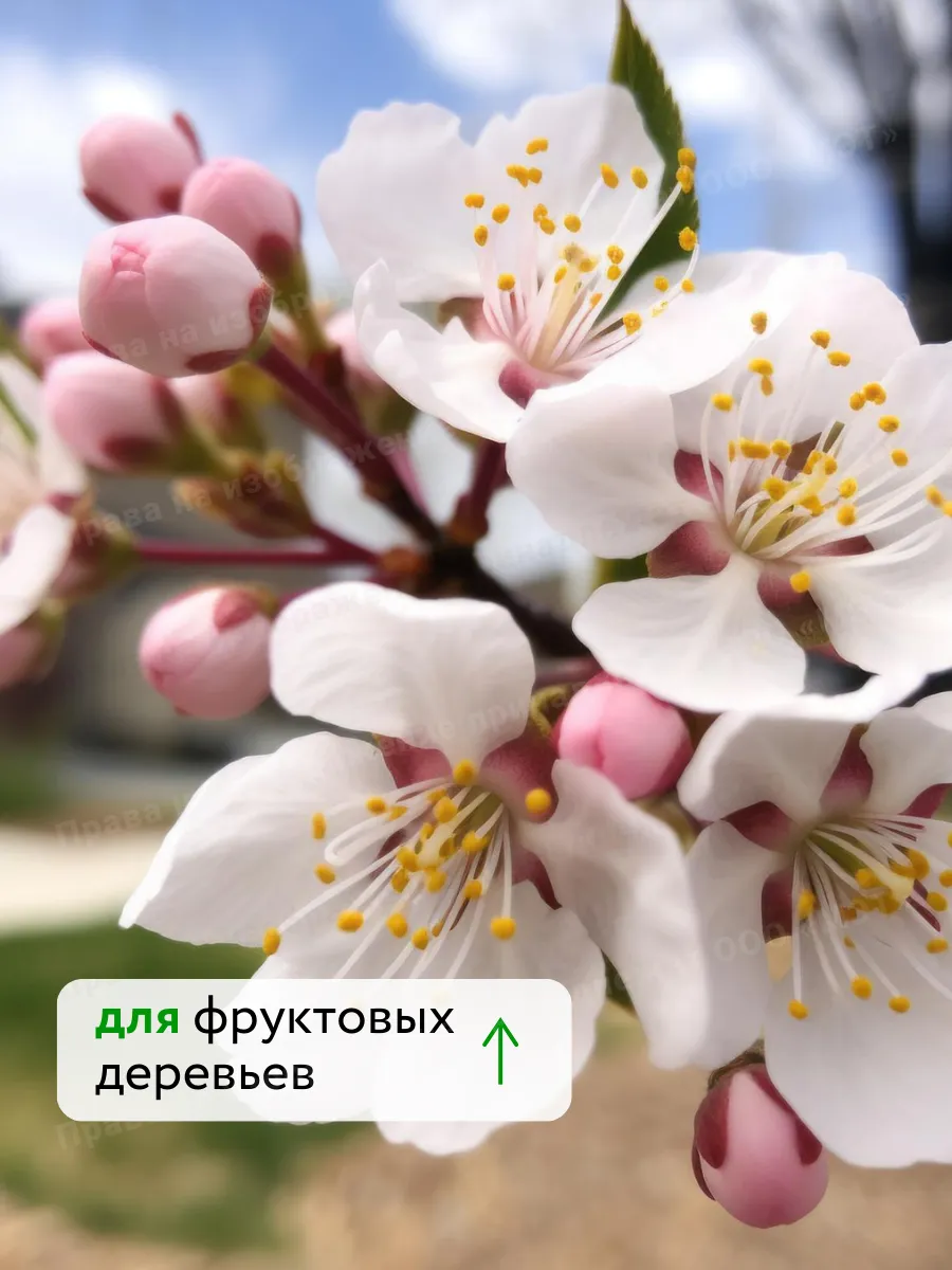 Универсальное удобрение для цветов и винограда Флауэр, 5л — фото 7