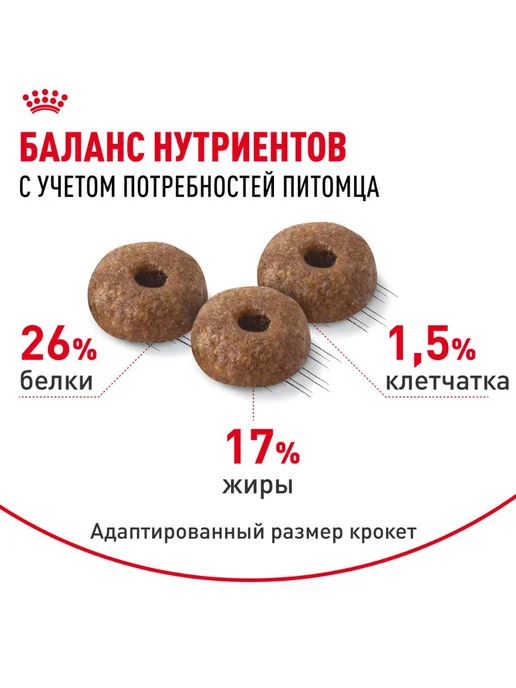 Сухой корм Royal canin Dermacomfort При для собак, мелкие, 3 кг, фото 7