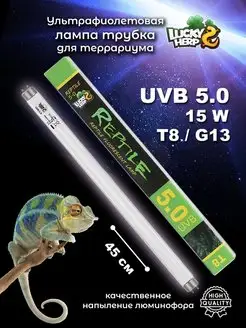 Лампа ультрафиолетовая для террариума Т8 UVB 5.0 15W Lucky Herp 170751846 купить за 989 ₽ в интернет-магазине Wildberries