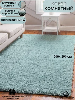 Ковер с длинным ворсом 200 х 290 см CARPET_MANIA 170761607 купить за 9 000 ₽ в интернет-магазине Wildberries