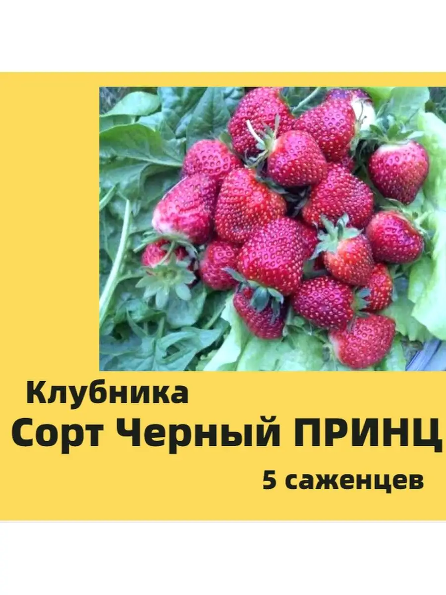 Клубника Черный Принц Фермер 30 170772501 купить в интернет-магазине  Wildberries