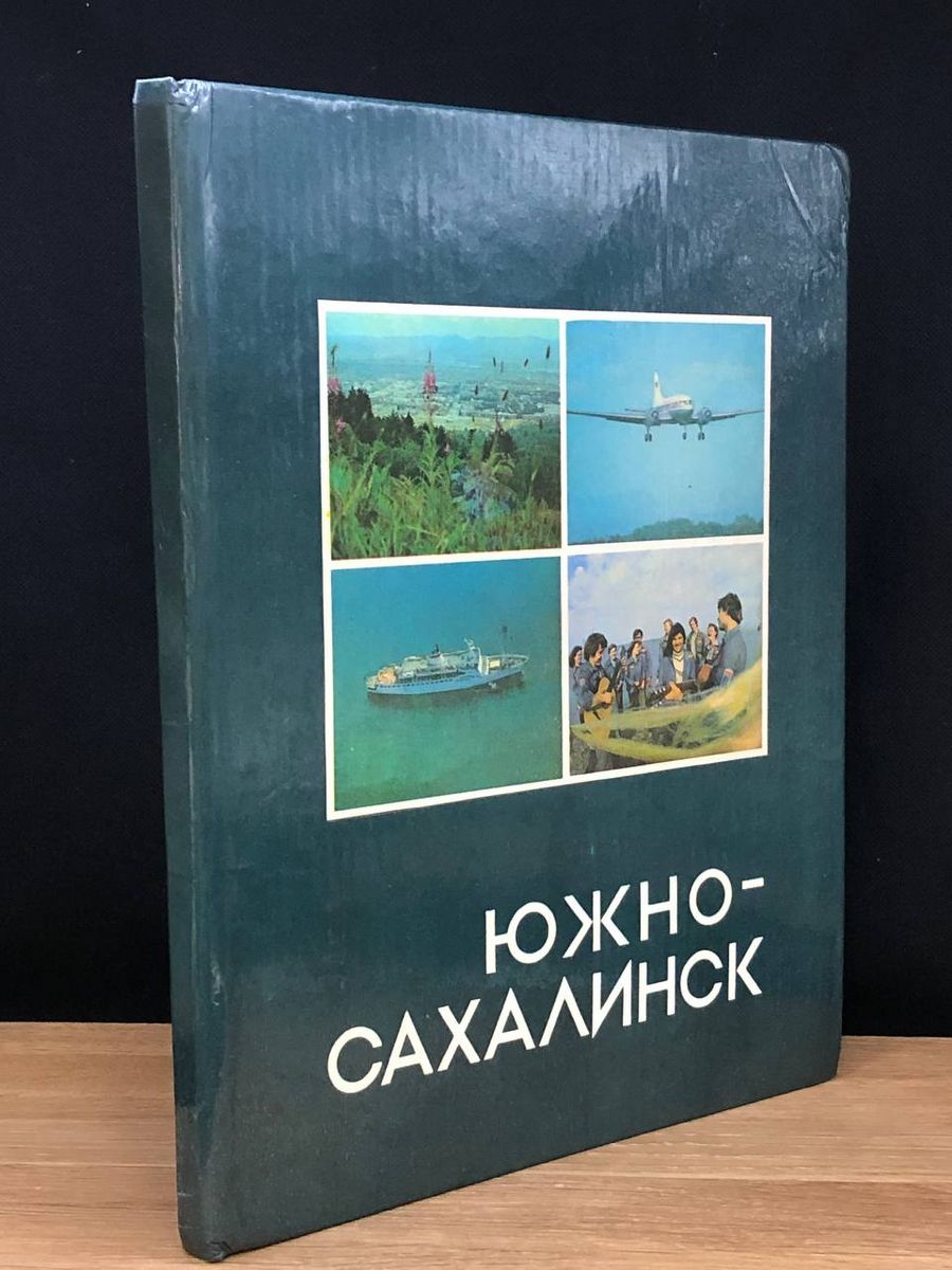 Южно-Сахалинск. Город и его жители Дальневосточное книжное издательство  170796127 купить за 270 ? в интернет-магазине Wildberries