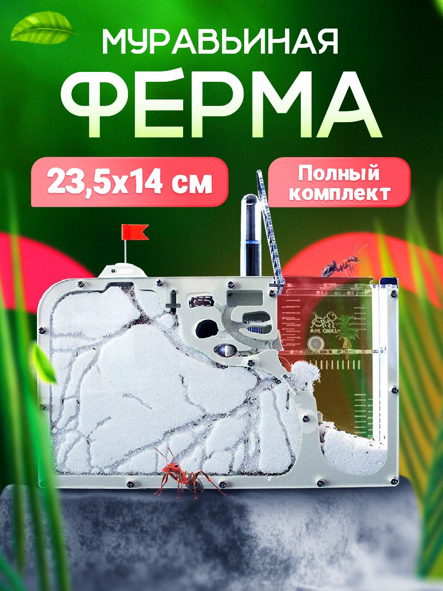 Муравьиная ферма с песком