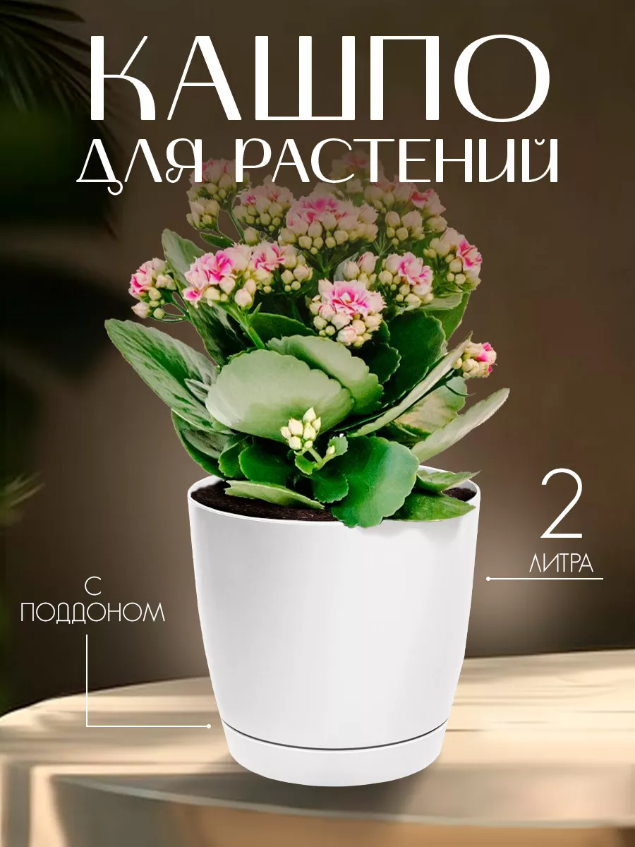 Кашпо для цветов Глория пластиковое на 2 л