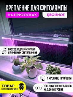 Кронштейн для фитолампы на присоске Сябар 170856683 купить за 297 ₽ в интернет-магазине Wildberries