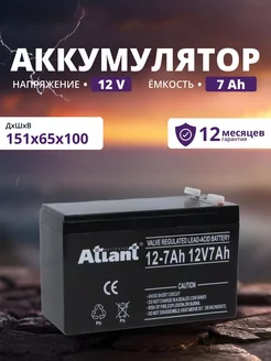 Аккумулятор ибп 12v 7 Ah AGM F1 инкубатора, эхолота, игрушек ATLANT 170875216 купить за 1 012 ₽ в интернет-магазине Wildberries