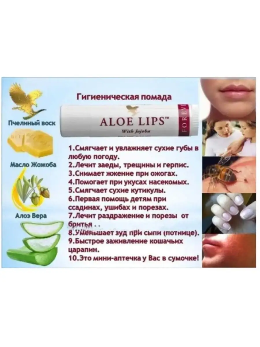 Гигиеническая помада форевер алоэ липс ALOE LIPS Aloe Vera FOREVER  170892796 купить за 1 071 ₽ в интернет-магазине Wildberries