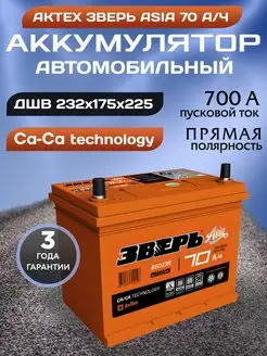 Аккумулятор автомобильный 70 12v прямая Зверь Азия АКТЕХ 170943444 купить за 6 446 ₽ в интернет-магазине Wildberries