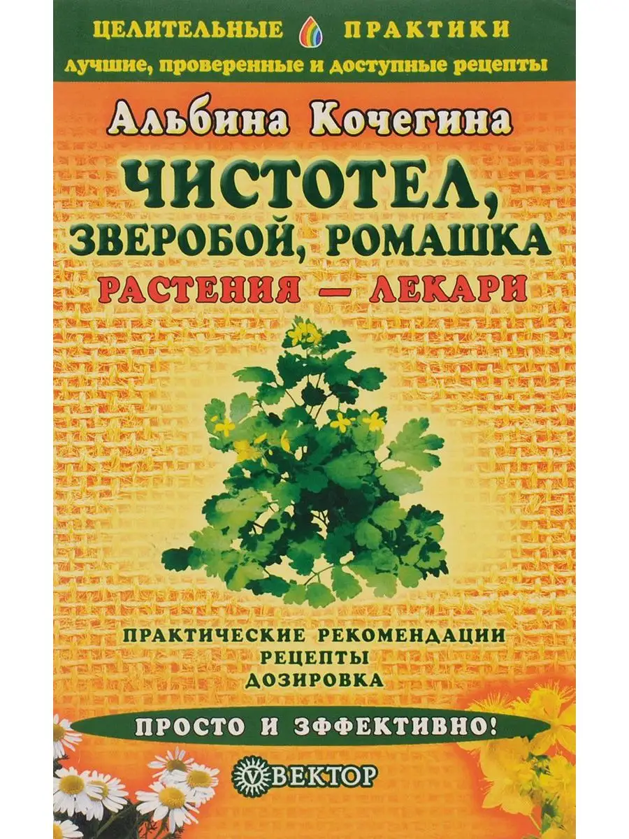 Чистотел, зверобой, ромашка - растения-лекари Вектор 170972482 купить за  229 ₽ в интернет-магазине Wildberries