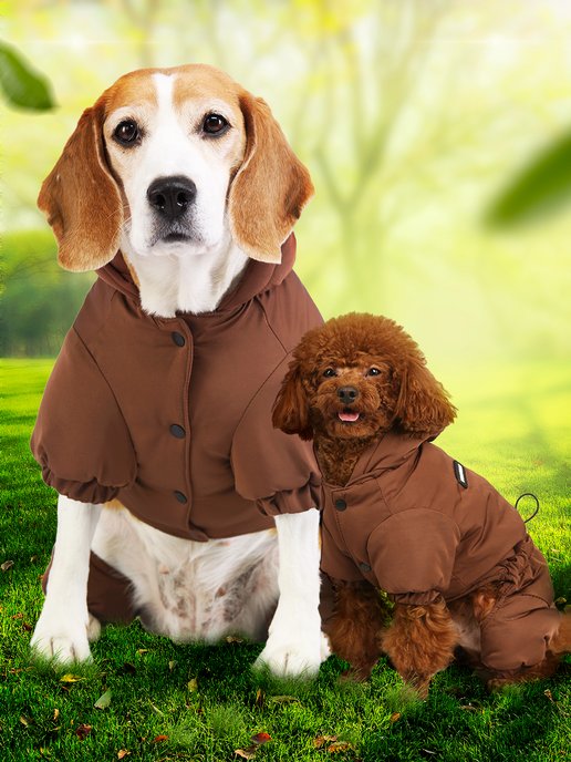 Одежды для собак, купить одежду для собак в Киеве, в интернет магазине одежды для собак - Petmarket