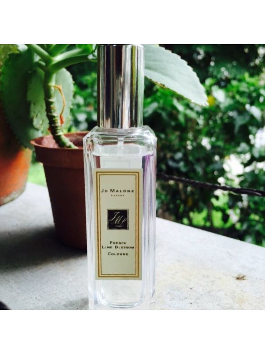 Lime blossom. Аналог Джо Малон French Lime. Аналог Джо Малон French Lime Jenny. Аналог Jo Malone French Lime Jenny Glo. Obi Malone артикул 3283355.