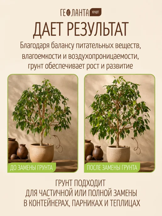 Земля для цветов комнатных, грунт универсальный 5 литров, комнатных грунт 50, фото 3