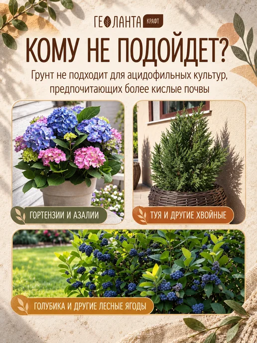 Земля для цветов комнатных, грунт универсальный 5 литров, комнатных грунт 50, фото 8