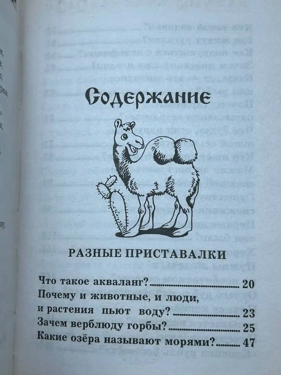 Съедобная часть садового дерева, 4 (четыре) буквы - Кроссворды и сканворды